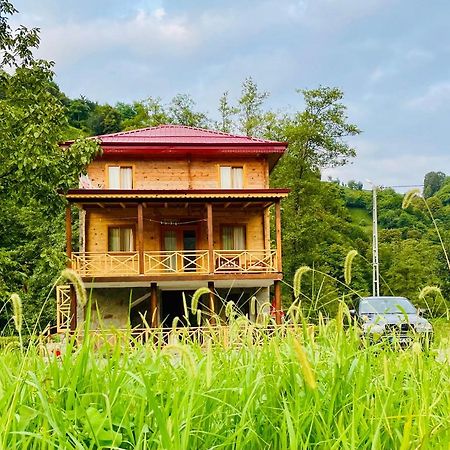 Zeytin Villa Apart Ardesen Luaran gambar